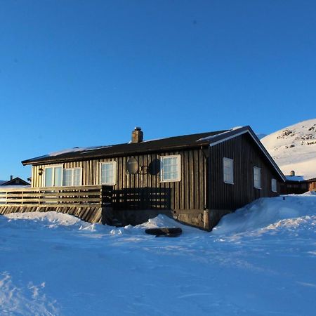 Kjoniksbu - 3 Bedroom Cabin Ål Buitenkant foto