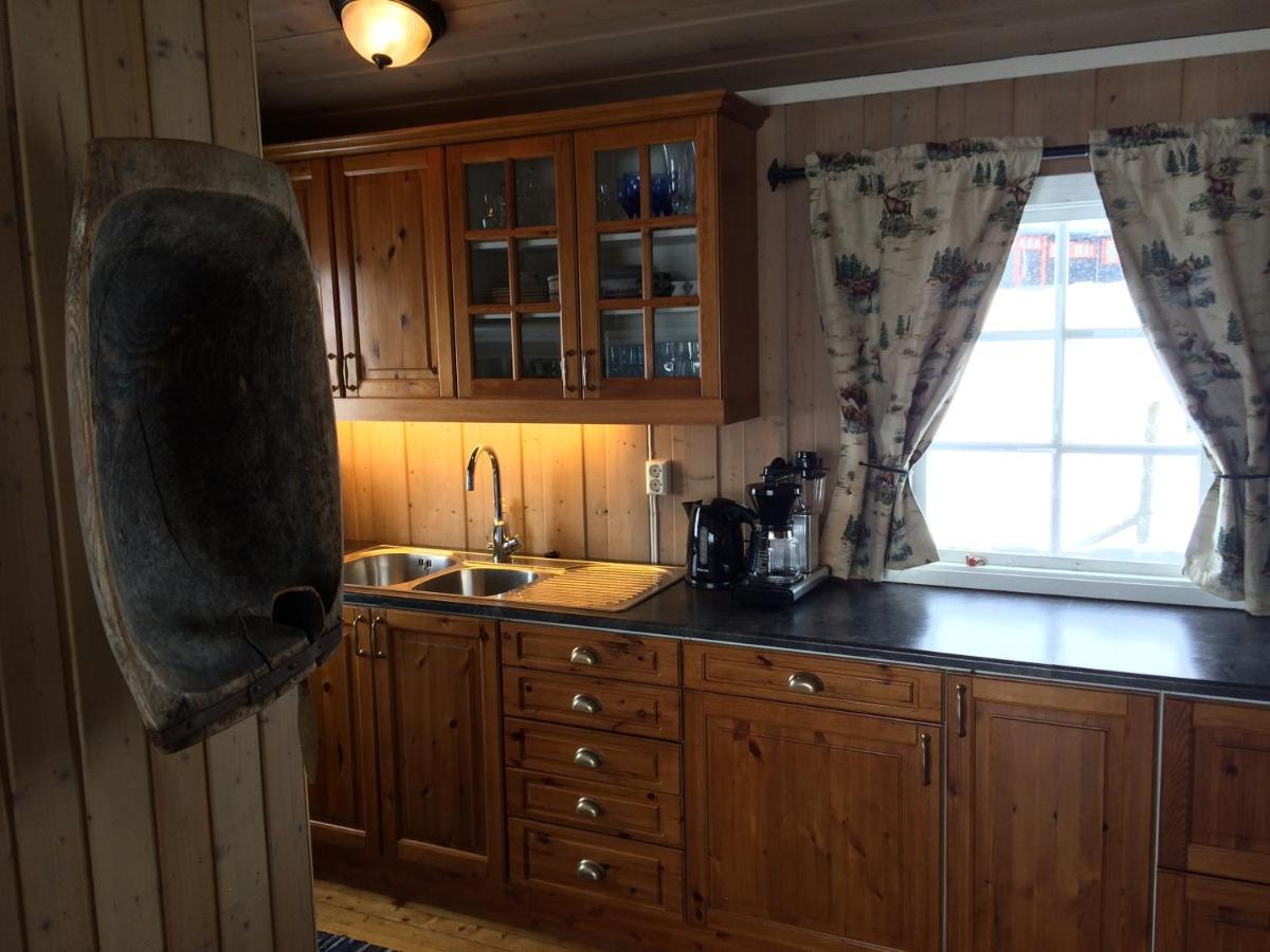 Kjoniksbu - 3 Bedroom Cabin Ål Buitenkant foto